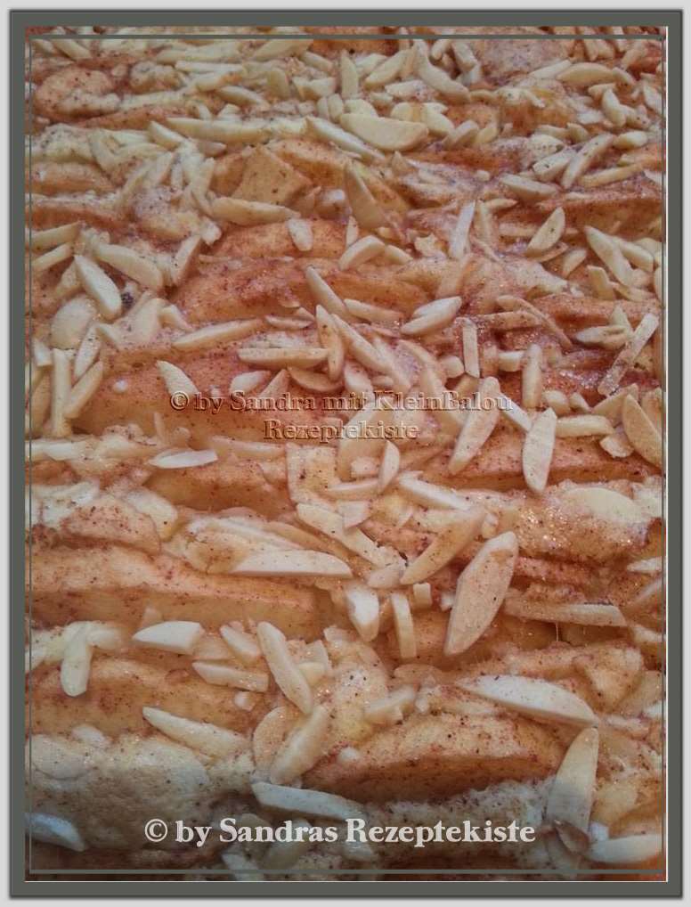 Apfelrahmkuchen mit Zimt und Zucker Apfelrahmkuchen mit Zimt und Zucker