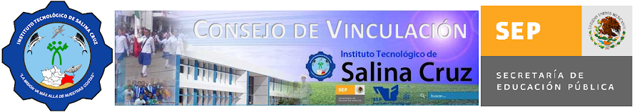 Consejo de Vinculación Instituto Tecnológico de Salina Cruz.