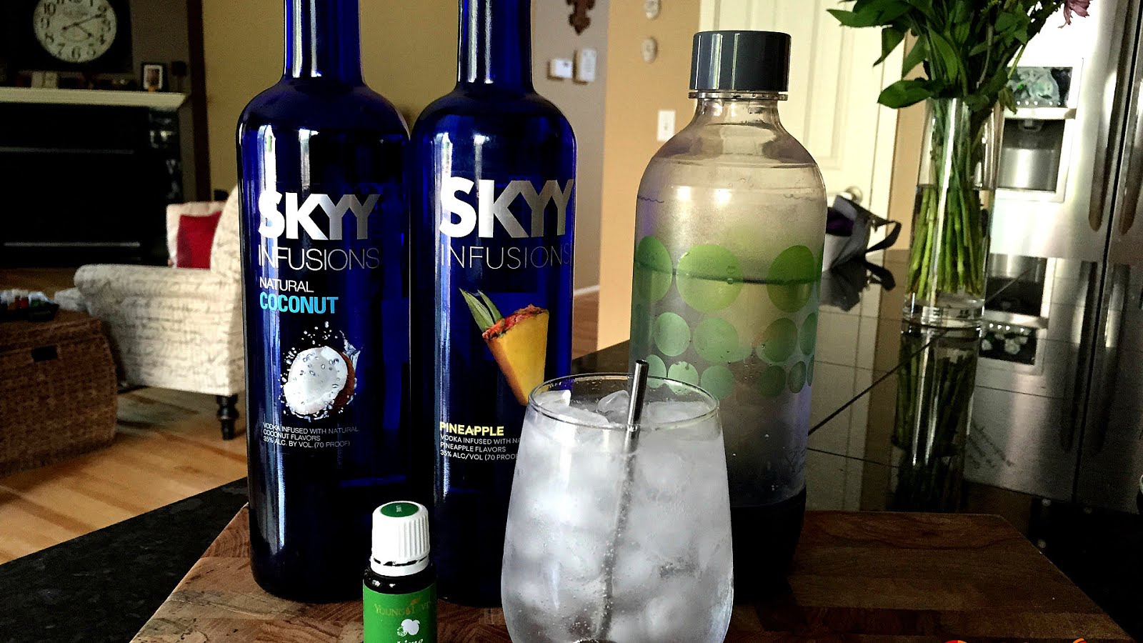 Low Carb Alcoholic Drink Recipes Recipe Choices