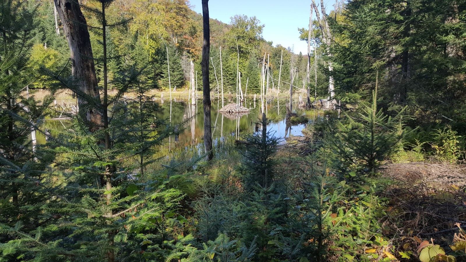 Les montagnes au Québec Boucle Montagne Verte et Nez de l