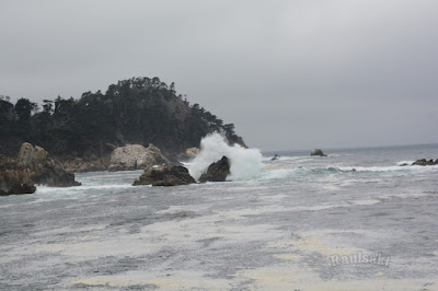 Viaje con tienda de campaña por el Oeste Americano - Blogs de USA - Big Sur Coast Highway, conduciendo por la Nacional 1 de San Francisco hasta Los (9)