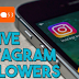 How To Get Active Followers On Instagram Free