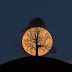 18 Extraordinary Pictures: Filters Fade in Front of Nature’s Magnificence