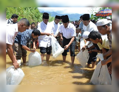 Proses Penebaran Benih Ikan Nila Ke Sungai Lokal Proses Penebaran Benih Ikan Nila Ke Sungai Lokal