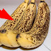 Impressionante: Cientistas revelam os principais motivos pelo qual banana com manchas faz tão bem a tua saúde!