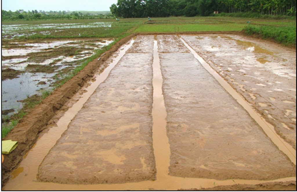 Nature and Farming Rice Production Chapter 5 Methods of raising