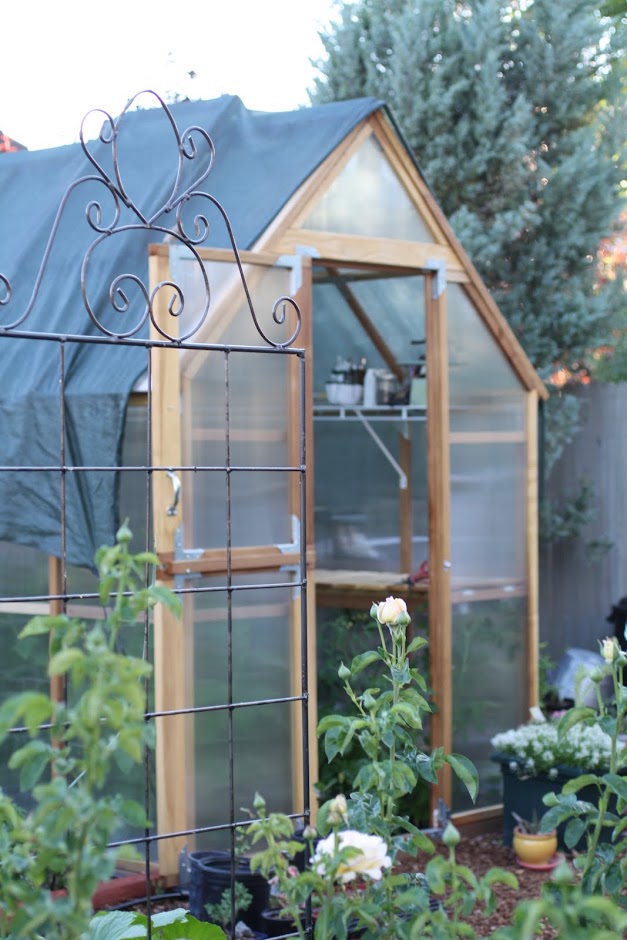 Daisy's Kitchen Garden Update