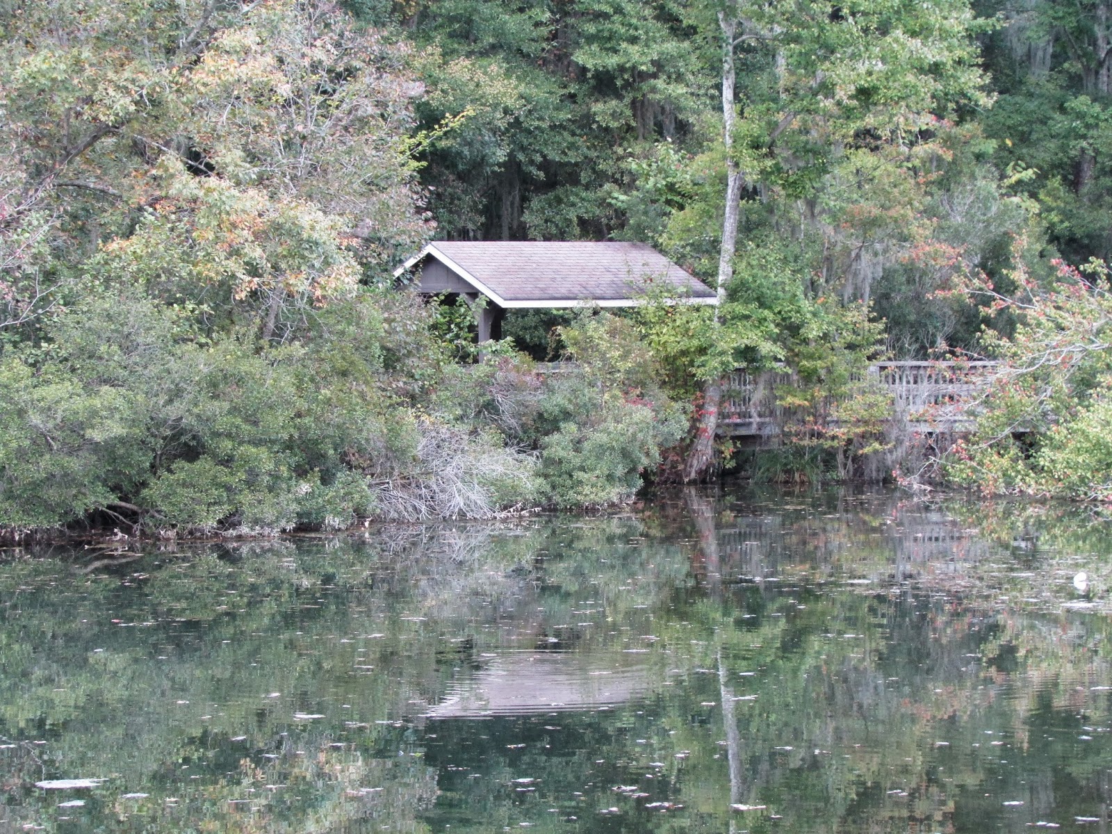 Adventures Of Toaster Magnolia Springs State Park, Volume One