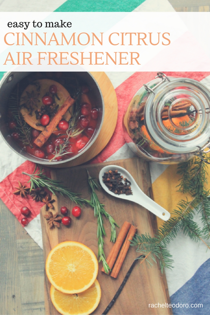 Easy to Make Cinnamon Citrus Holiday Air Freshener