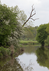 The River Medway near Leigh on 19 May 2012.
