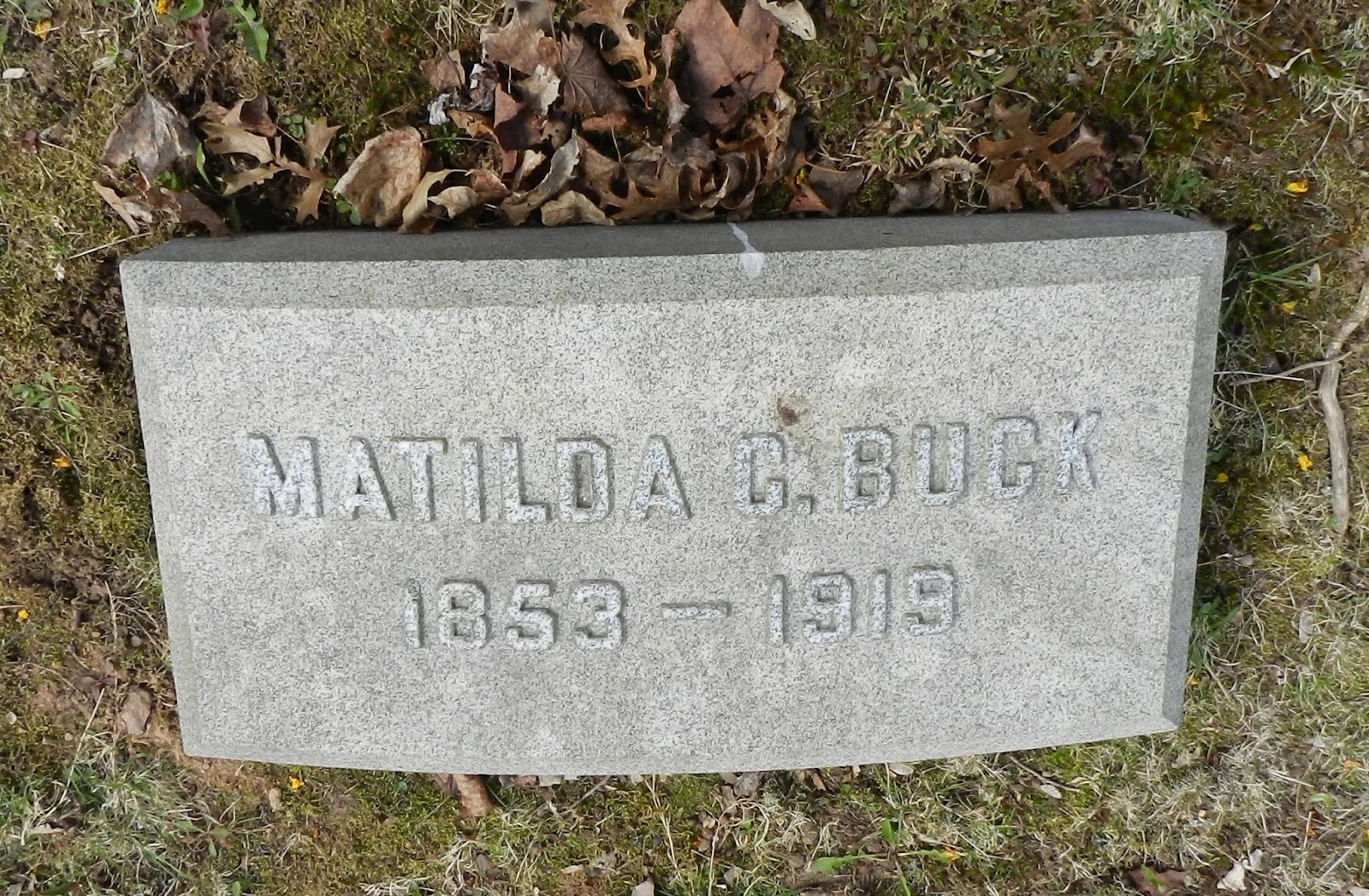 The Pye Plate Edward Buck (c.17971875) 2nd generation Chapter One