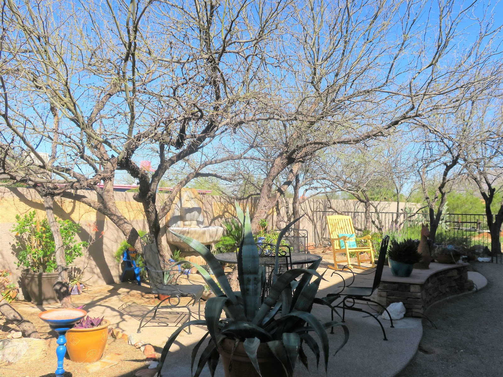 Living Rootless Tucson, AZ Temporary Home 2