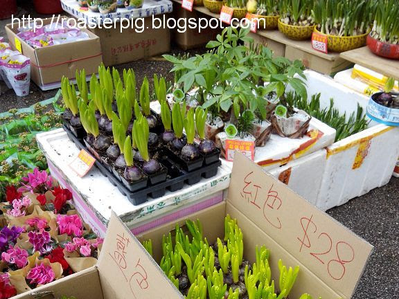 2014香港年宵花市一覽