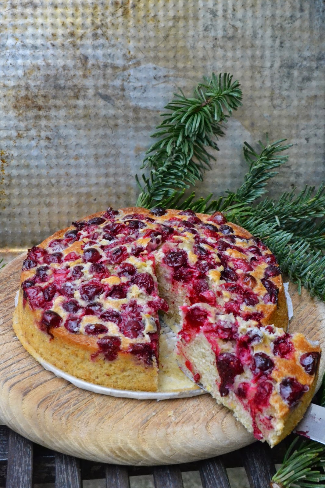 Cranberry &amp; Lemon Cake - The Recipe Suitcase