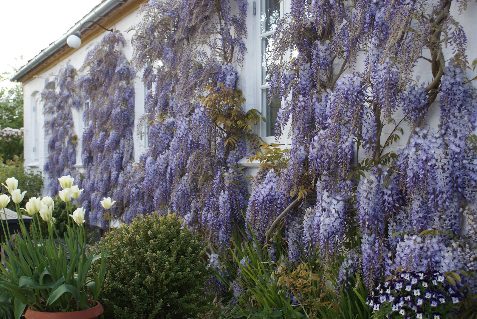 Kjeld slot blog books