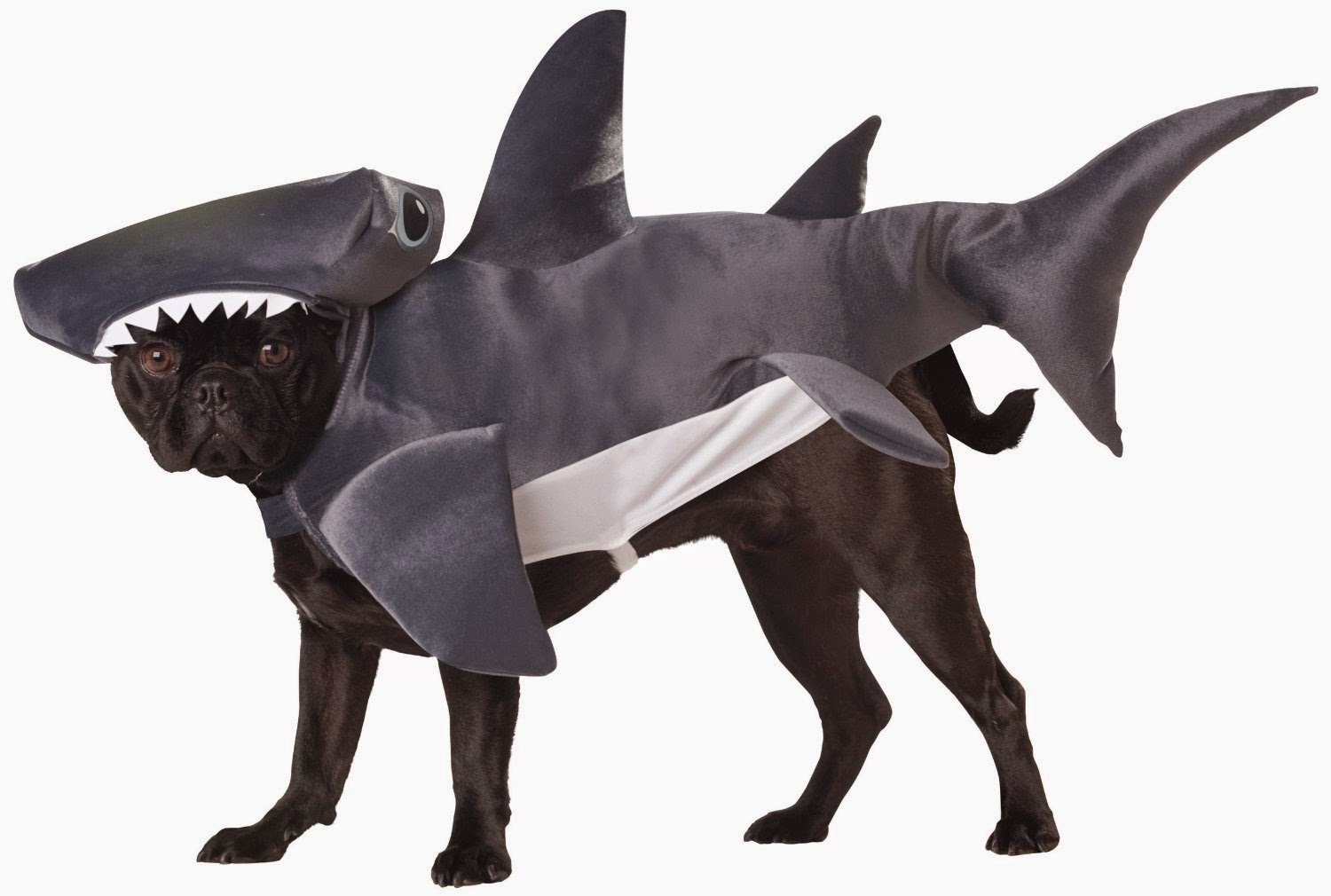 13 Most Hilarious Dog Halloween Costumes Ever!