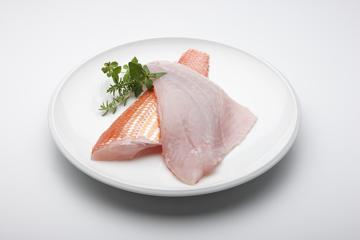 snapper fillet snapper fillet