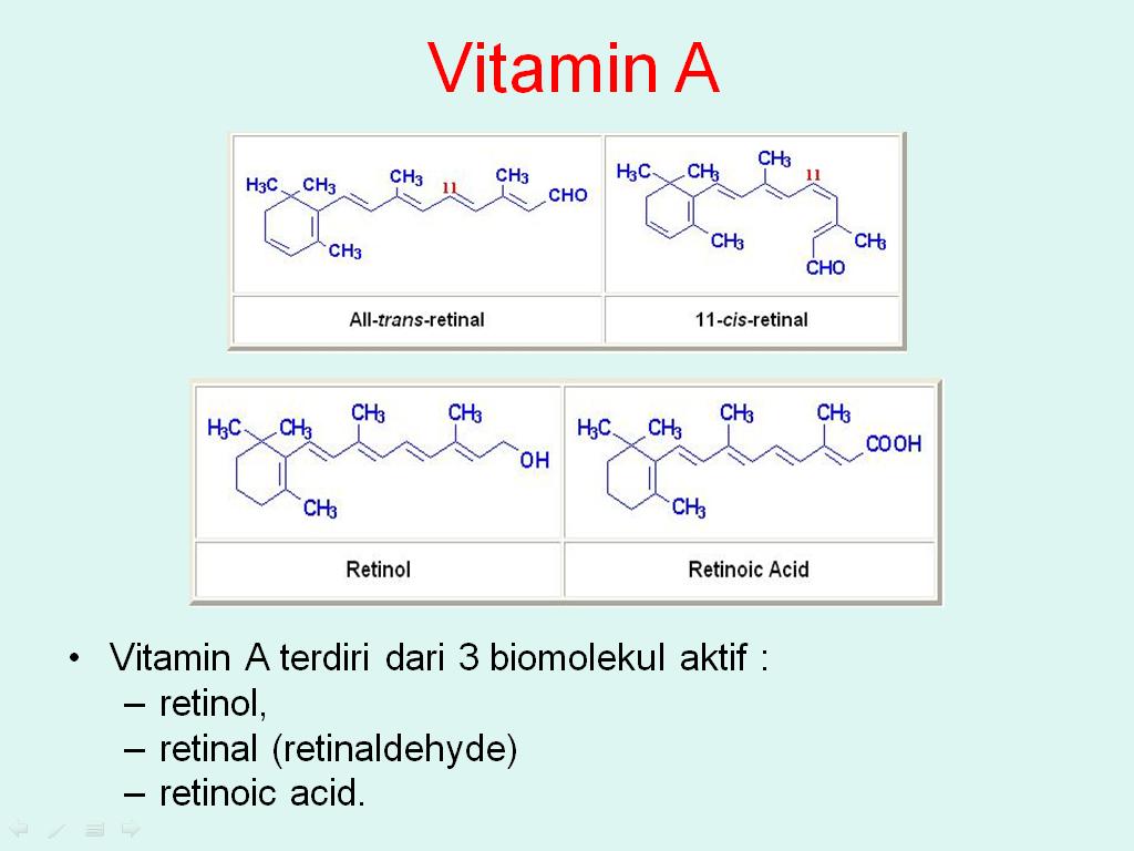 Power point KU Vitamin Larut dalam Lemak