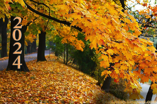 Happy New Year 2024 Wallpapers HD Images 2024 Happy New Year 2024