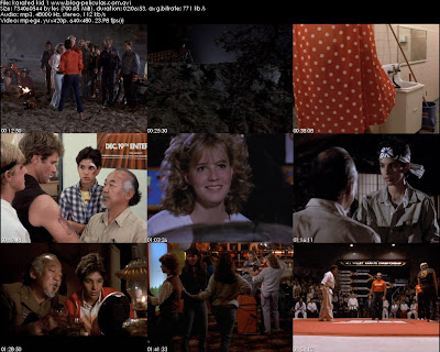 Karate Kid dvdrip latino