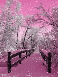 winter wallpapers amazing pink snow trees awan garden background desktop spring gifs summer christmas flower scene falling autumn animated pretty