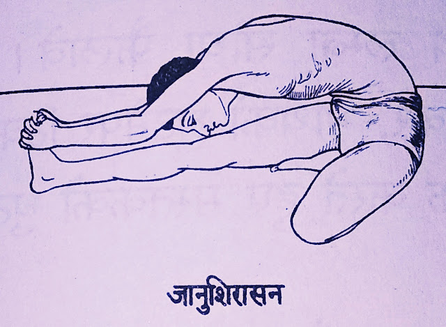 Janushirasana।जानुशिरासन । योगआसन । Yoga Asana