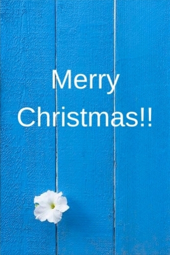 Christmas holiday winter decorations merry gifts happy twigs needles star light wallpapers13 5