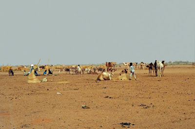 Niger, Agadez, © L. Gigout, 1991