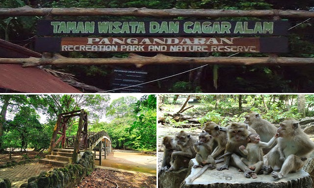 Paket Wisata Cagar Alam Pangandaran