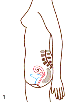 Thyroid during Pregnancy