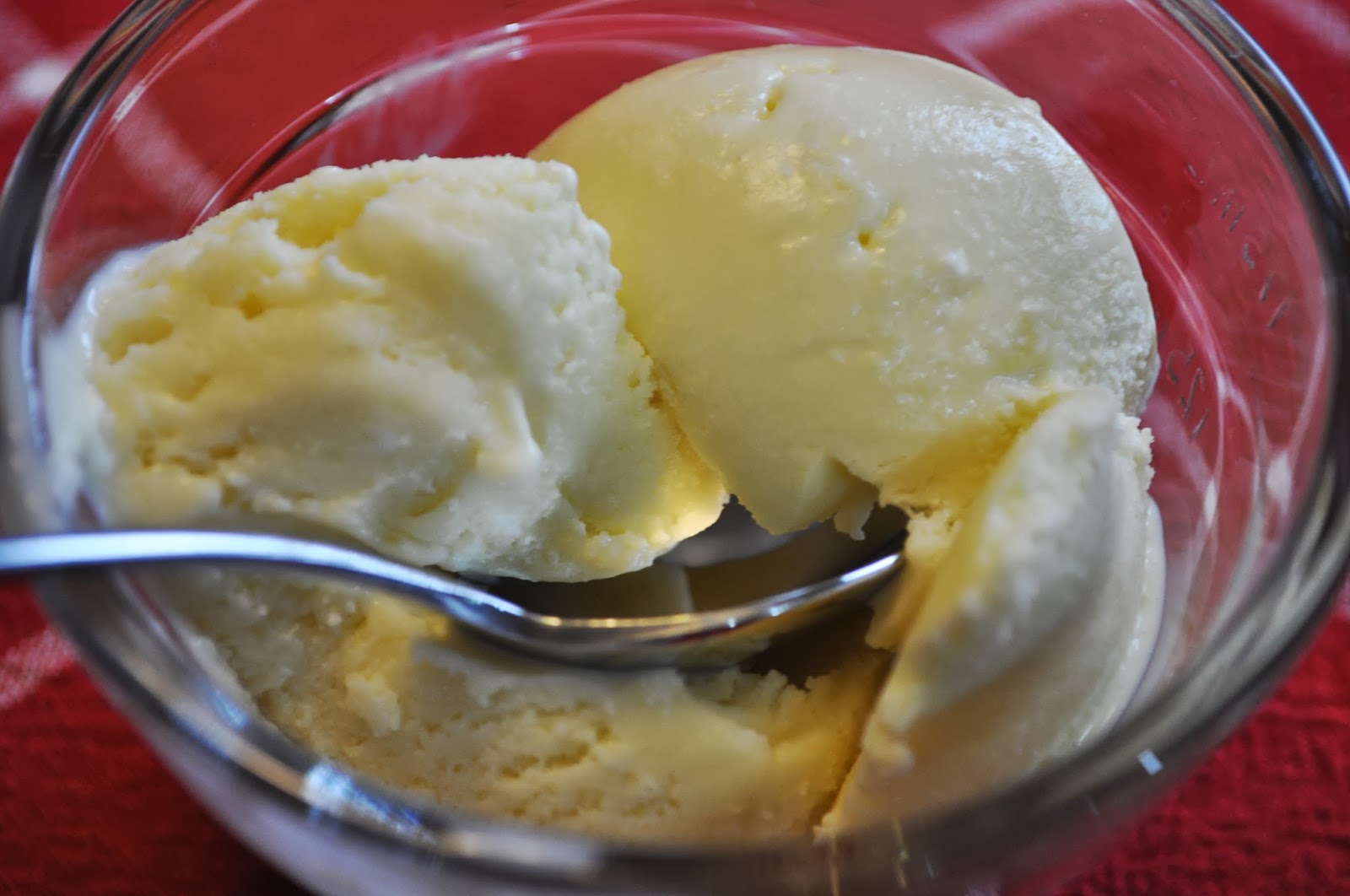 Teacher, Baker, Gourmet Meal Maker Ginger Ice Cream