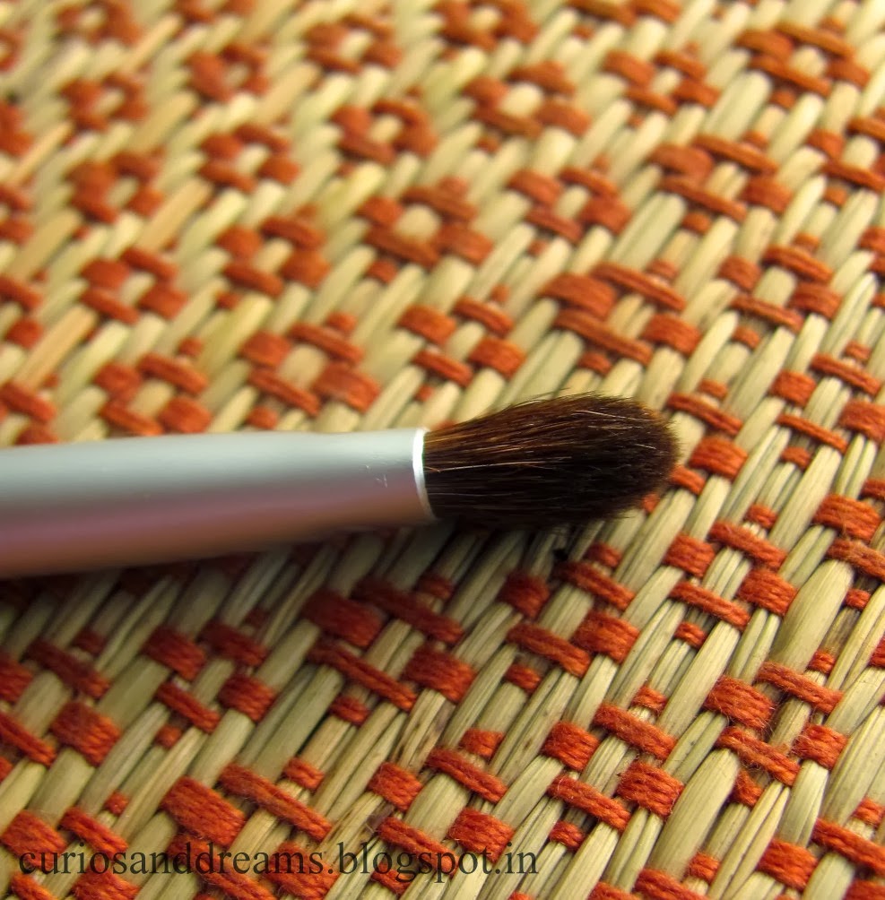 Faces Canada Eye shadow Brush Review Curios and Dreams Indian