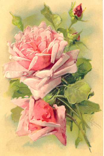 clipart vintage roses - photo #43