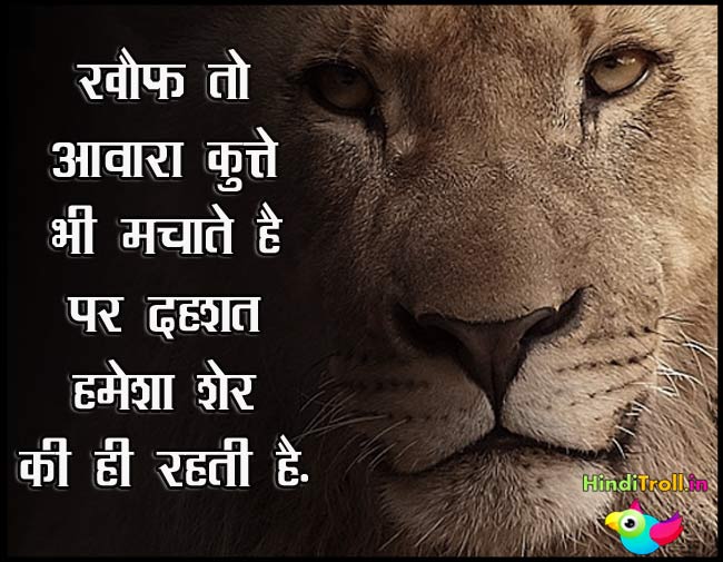 Khof To Awara Kutte Bhi | High Attitude Hindi Comment Picture | Top Fighter Hindi Quotes Wallpaper