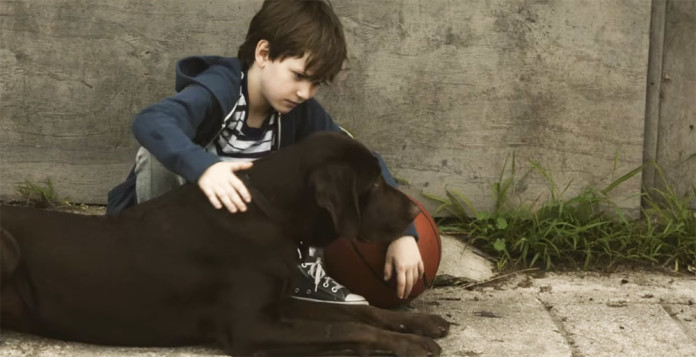 What Is The Dog S Name In The Iams Commercial What Is The Dog S Name In The Iams Commercial