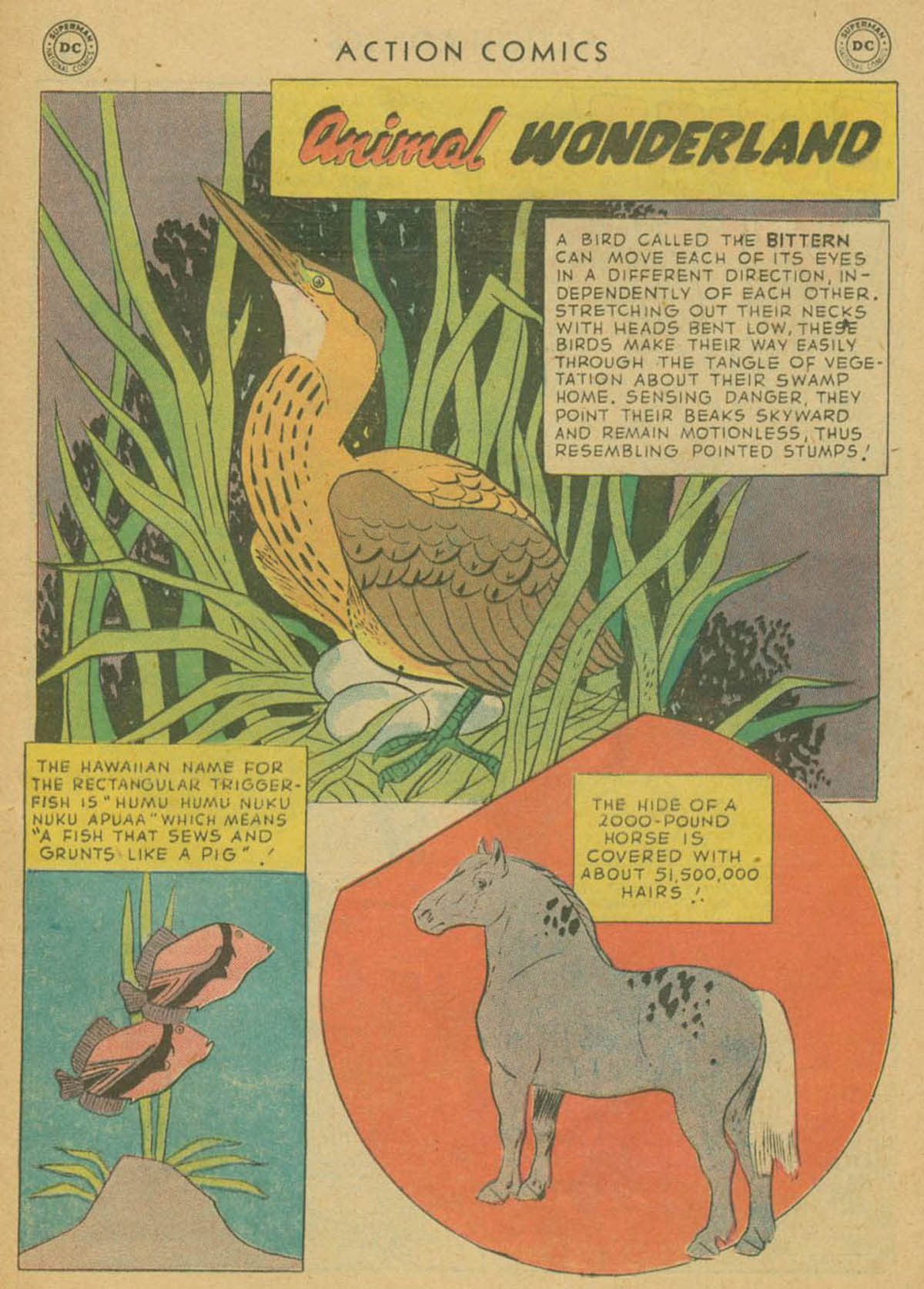 Action Comics (1938) 240 Page 24