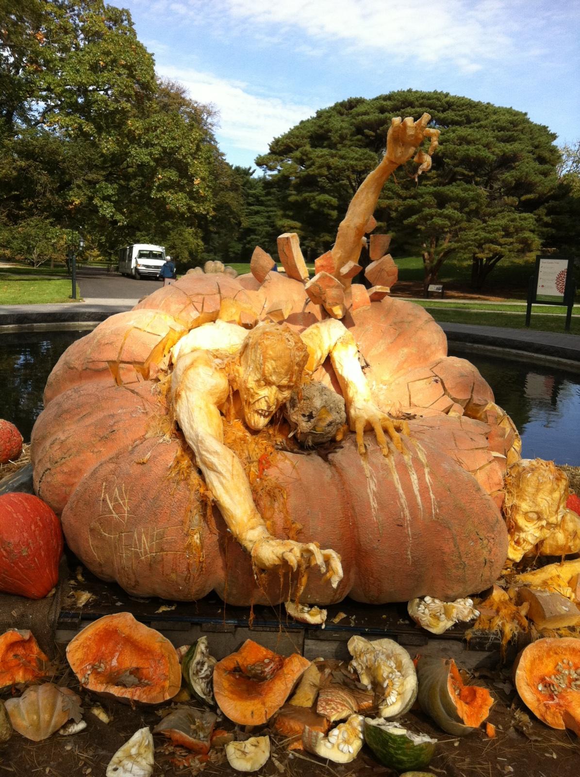 Jeffco Gardener World S Largest Pumpkin Becomes A Zombie World S Largest Pumpkin Becomes A Zombie