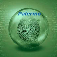 investigazioni infedeltà Palermo