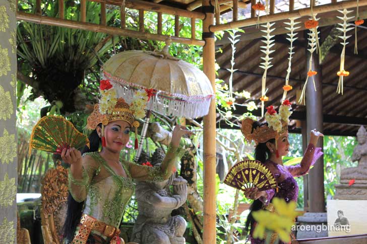 bebek tepi sawah ubud
