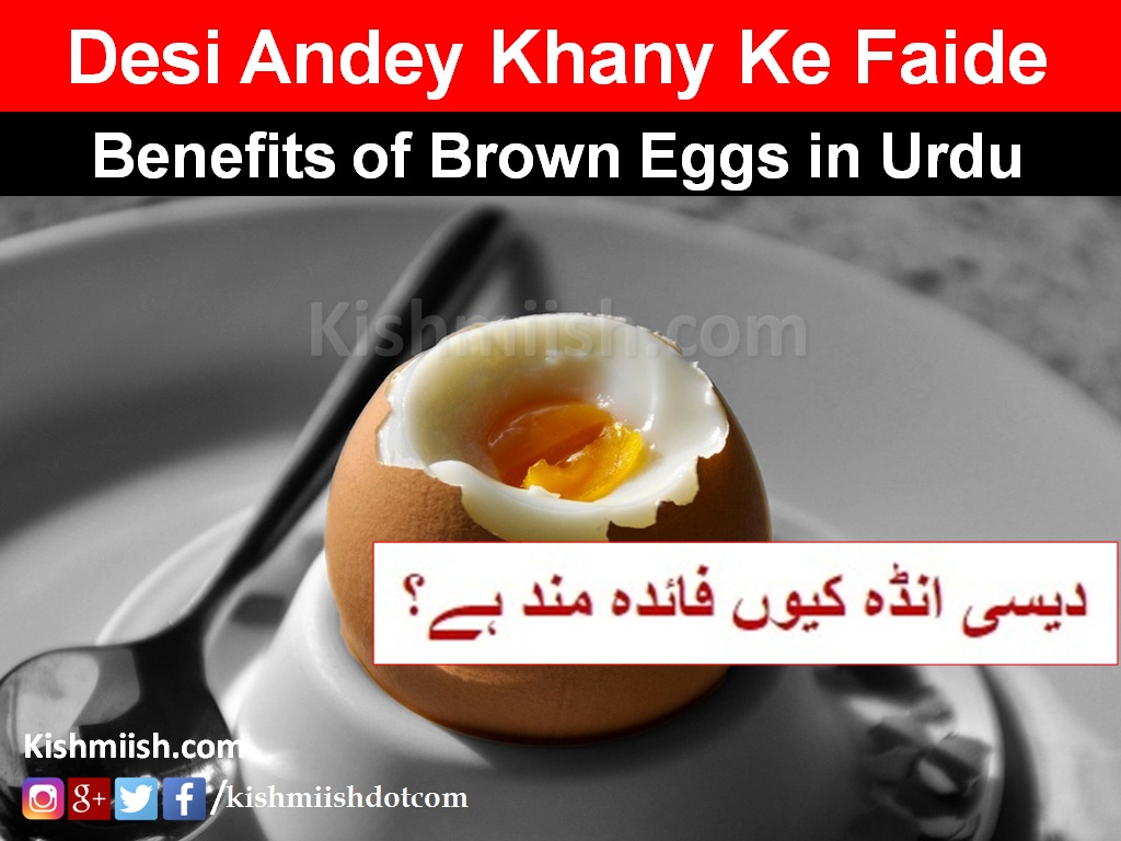 Desi Andey Ke Faide (Benefits of Brown Eggs in Urdu)