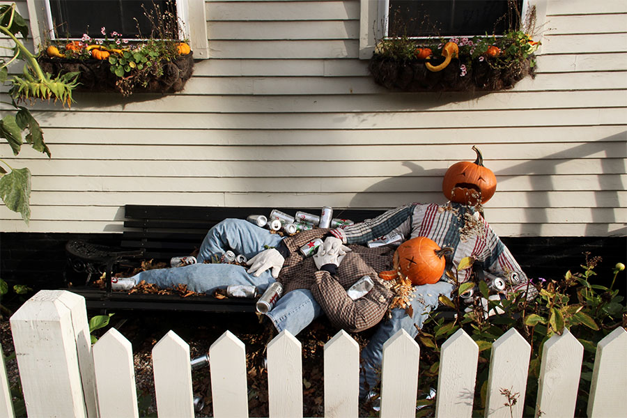 Magic of Fall on Cape Cod Starfish