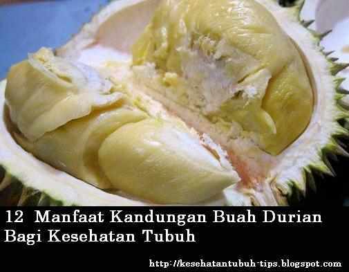  Durian menjadi salah satu buah favorit yang rasanya sangat nikmat 12 Manfaat Kandungan Buah Durian, Serta Bahayanya Konsumsi Berlebihan