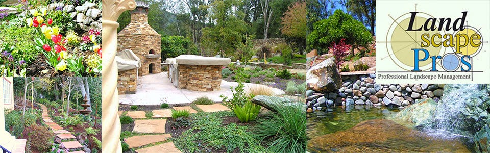 Landscape Pros Info San Jose