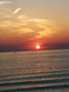 Photo of Among the Dutch- Holland 8/20 by Saakshi Kumar