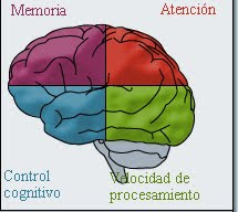 ENTRENAMIENTO CEREBRAL