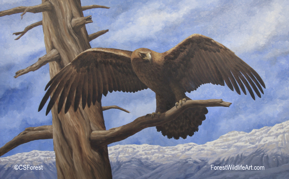 Crista Forest's Animals & Art Golden Eagle Painting Revision WIP