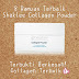 8 Ramuan hebat Collagen Powder Shaklee