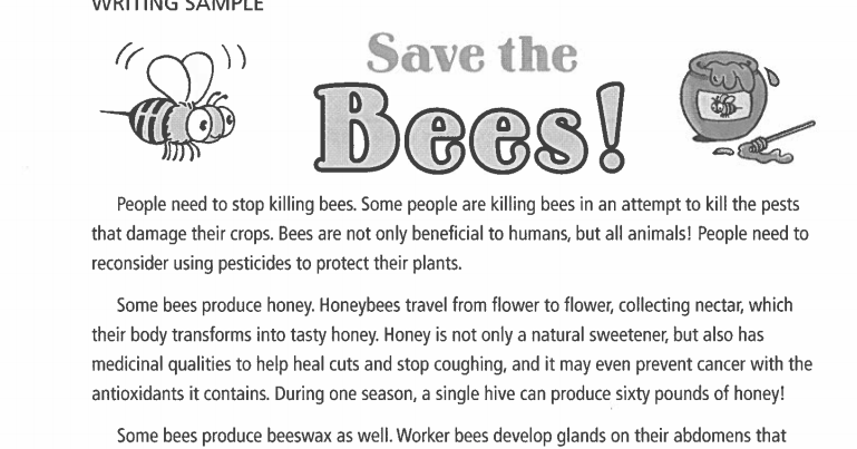 What does carr mean when he says the net is becoming a universal medium picture