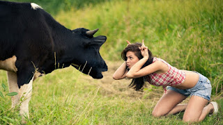 Whats app Funny Photos For Groups