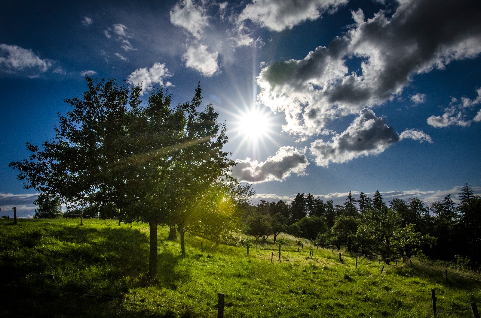 TageBilder: Juni Wetter TageBilder: Juni Wetter